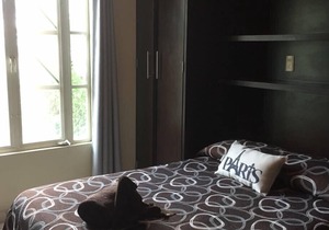 SMART AND SAFE STUDIO NEAR CHAPULTEPEC IN COLONIA AMERICANA