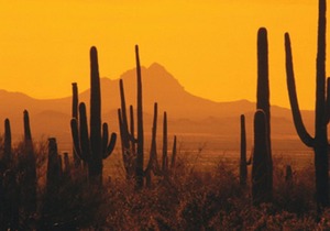 Southwest Vacation Sensation!