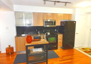 Stunning 1BR Condo in Great Downtown Location!