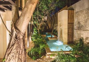 TreeHouse Boutique Hotel, an adults only boutique hotel
