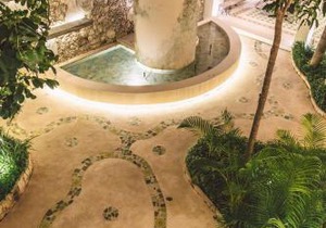 TreeHouse Boutique Hotel, an adults only boutique hotel