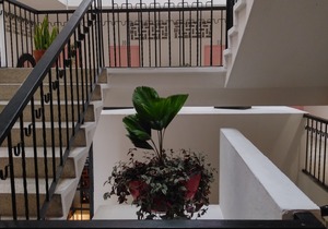 Tropicus 07 Romantic Zone Double Room with Terrace