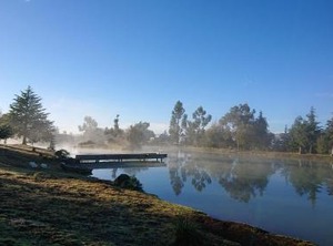 Cabañas Tapalpa Sierra Del Tecuan Cabaña | Tapalpa