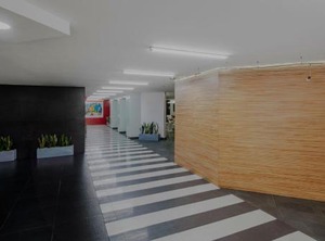 Jm Ciudad De México | Colonia Centro