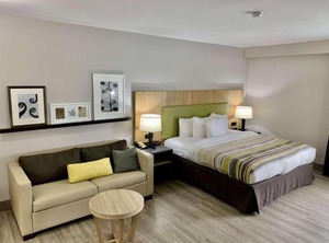Country Inn | Milan