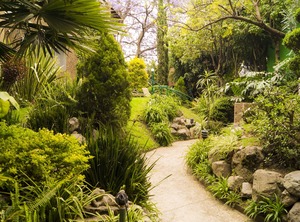 Garden | Campestre