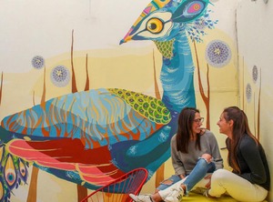 Hostel | Roma Norte