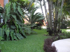 Hotel Playa Cristal | Catemaco
