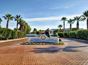 Las Palmas G | St. George