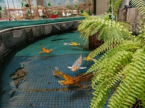 Paris Hotel | Poza Rica