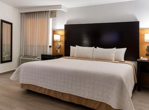 Paris Hotel | Poza Rica
