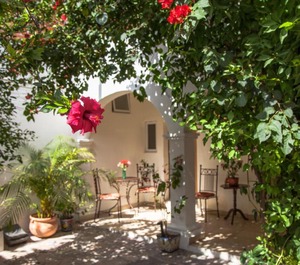 Casa San Miguel 