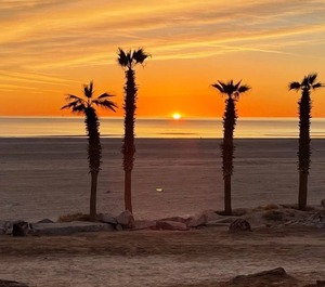 The Beach 
