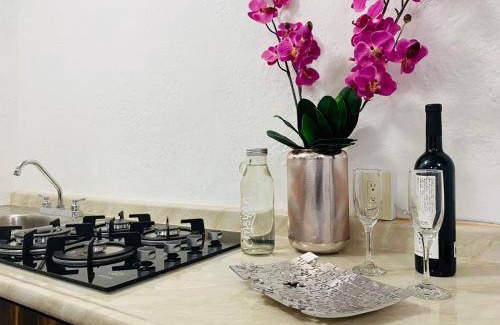 Guanajuato Apartment | 110 m² Apartment ∙ 2 bedrooms ∙ 6 guests