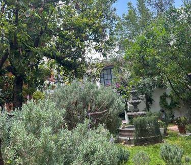 Colonia Guadalupe Bed & Breakfast | 15 m² Bed and breakfast ∙ 3 guests