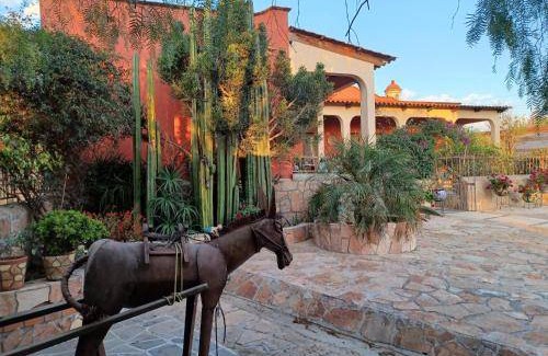 Tequisquiapan Bed & Breakfast | 15 m² Bed and breakfast ∙ 4 guests