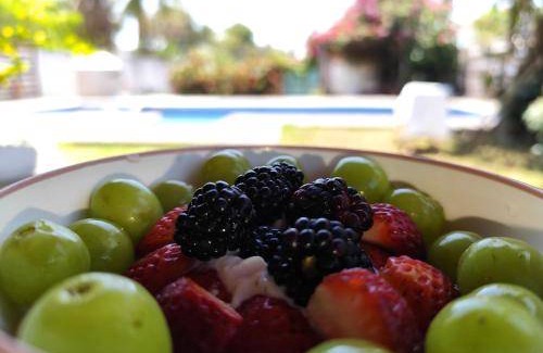 Tecolutla Municipality Bed & Breakfast | 24 m² Bed and breakfast ∙ 4 guests