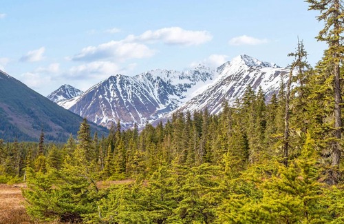 Alyeska House | 264 m² House ∙ 4 bedrooms ∙ 10 guests