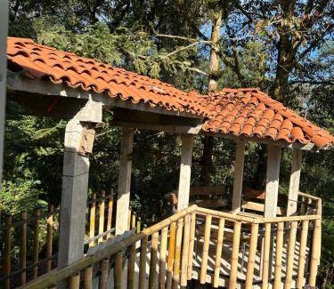 Xicotepec Bed & Breakfast | 30 m² Bed and breakfast ∙ 8 guests