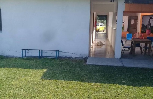 Tlaquiltenango Resort | 30 m² Private room ∙ 1 bedroom ∙ 4 guests
