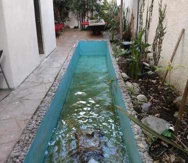 Pachuca de Soto House | 40 m² Motel ∙ 2 guests