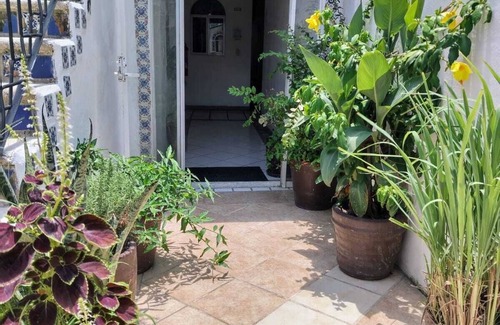 Downtown Puerto Vallarta Apartment | Alexandross Hostel (IN PTO VALLARTA)