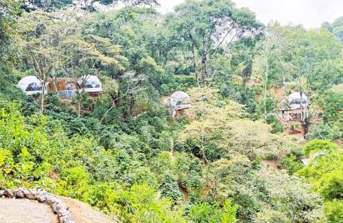 Coatepec Other | Alma Glamping