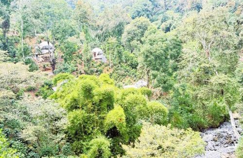 Coatepec Other | Alma Glamping