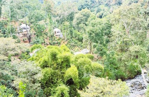 Coatepec Other | Alma Glamping