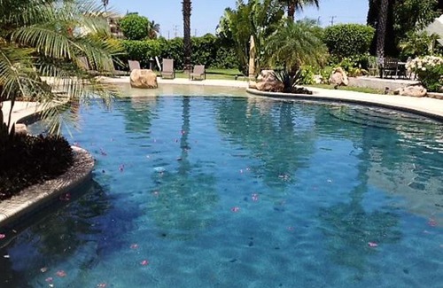 El Tezal Apartment | AMAZING NEW! BIG STUDIO WIFI, POOL, PET FRIENDLY 2 BLOCKS TO THE SWIMMABLE BEACH IN CABO
