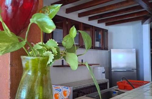 Bucerias Condo | Beachfront ! Condo Del Sol Private Awesome Vacation Rental