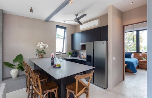 Emiliano Zapata Apartment | Beautiful Modern Penthouse Zona Romantica