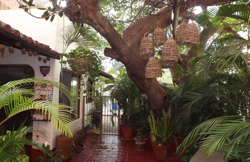 Romantic Zone Condo | Best Los Muertos Beach Location! Beautiful Private Courtyard w/Fountain!