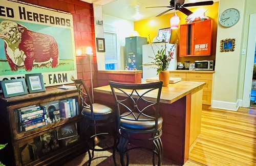Huston - Courtland Apartment | Bright 1 Bedroom + Sunroom - Perfect Montford Location - Walk Downtown Asheville