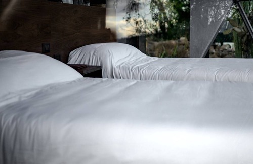 Soyaniquilpan de Juarez Other | Camping ∙ 1 bedroom ∙ 4 guests