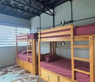 Colonia 5 de Diciembre Hostel | Canova Hostel & Pizza