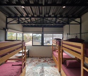 Colonia 5 de Diciembre Hostel | Canova Hostel & Pizza