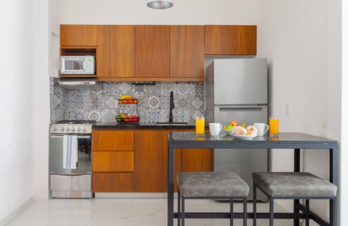 Colonia 5 de Diciembre Apartment | Casa Loro Azul PV Unit 8 NEW with Rooftop pool 1BD Studio for rent in 5 de Dicie
