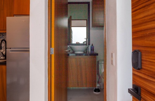 Colonia 5 de Diciembre Apartment | Casa Loro Azul PV Unit 9 NEW with Rooftop pool 1BD Studio for rent in 5 de Dicie