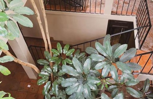 Zona Centro House | Casa Luz