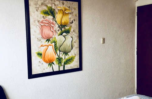 San Luis Potosi Hostel | Casa Mima it’s a nice family hostel! Please contact us before booking!