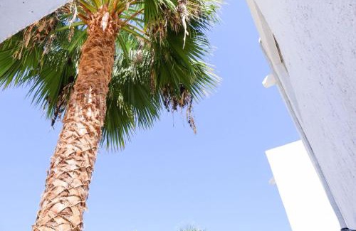 Hermosillo House | Casa Serena