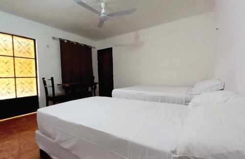 Piste Hostel | Casa zued