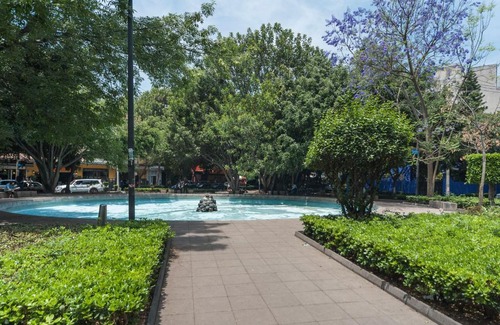 Hipodromo Apartment | Condesa DF Wonderful Apartment