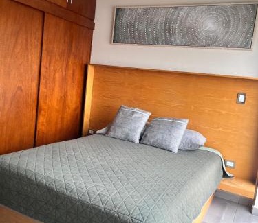 Zona Dorada Apartment | Condesa Mazatlán