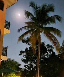 La Cruz de Huanacaxtle Other | Delfin