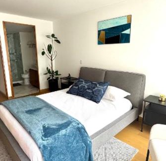 Hipodromo Apartment | depto con alberca zona condesa
