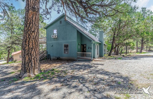 Ruidoso Downs Cabin | 'Distinct stay' guaranteed at Lone Pine! Pet friendly