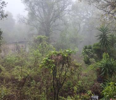Tepoztlan Other | Eco Rooms Pablo's