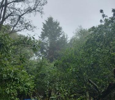 Tepoztlan Other | Eco Rooms Pablo's